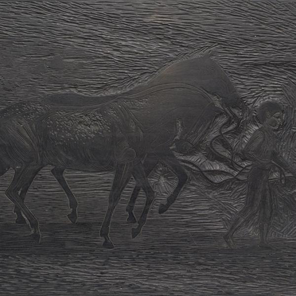 Niña paseando a dos caballos